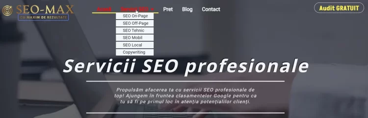 model meniu site